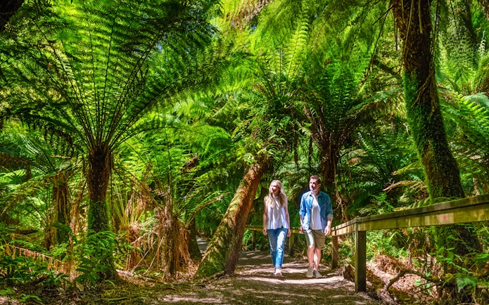 Couple walking through lush ferns on Maits Rest forest trail, Great Ocean Road tour.