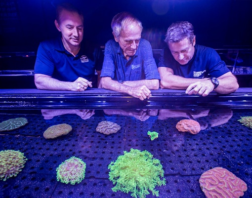 Three men on a guided Coral Biobank tour in Cairns Aquarium