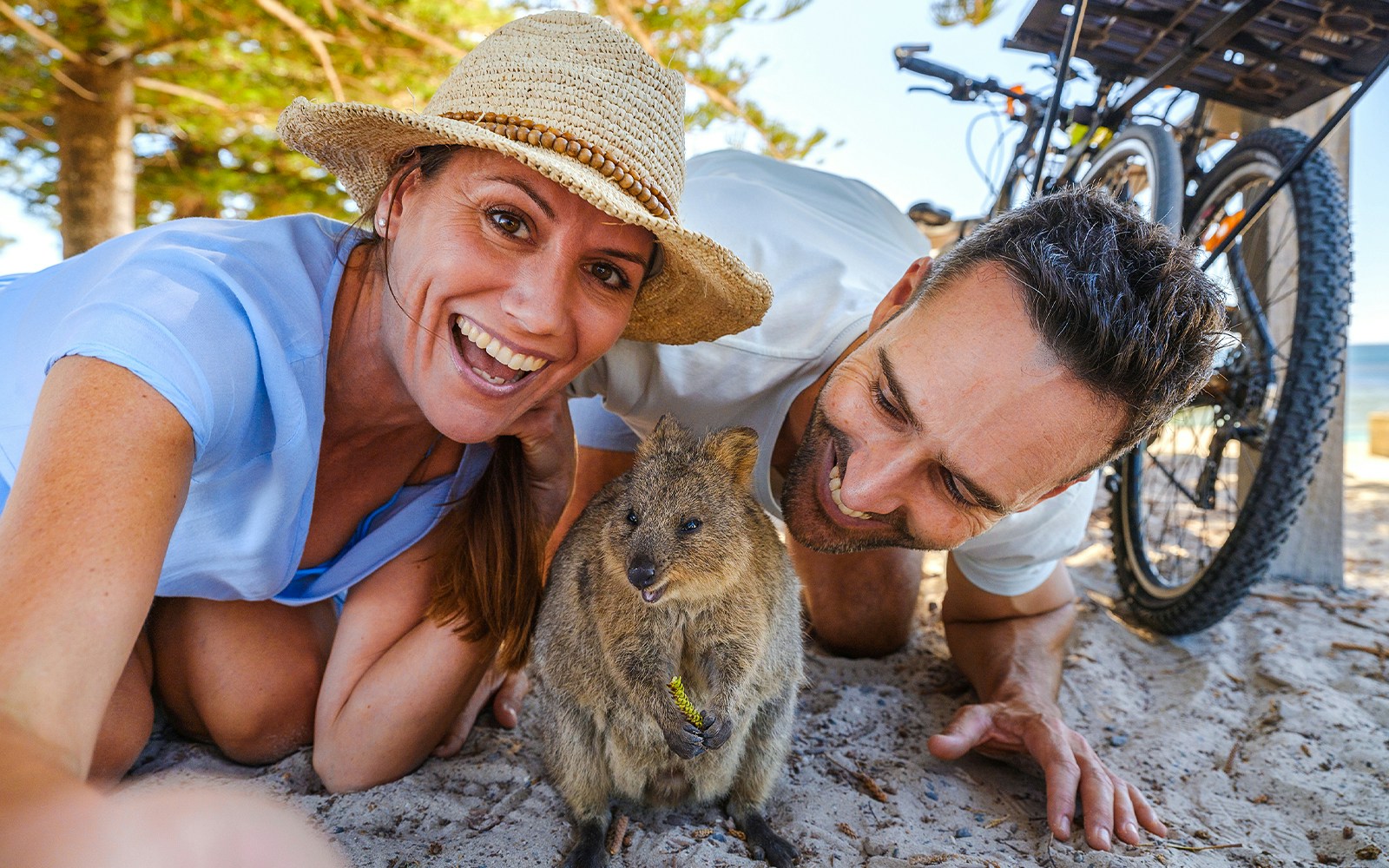 Tourists smiling with a quokka on Rottnest Island, bicycles and beach in background.