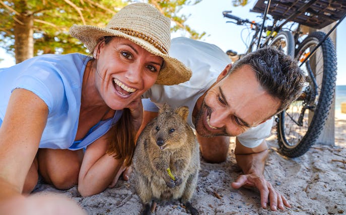 Tourists smiling with a quokka on Rottnest Island, bicycles and beach in background.