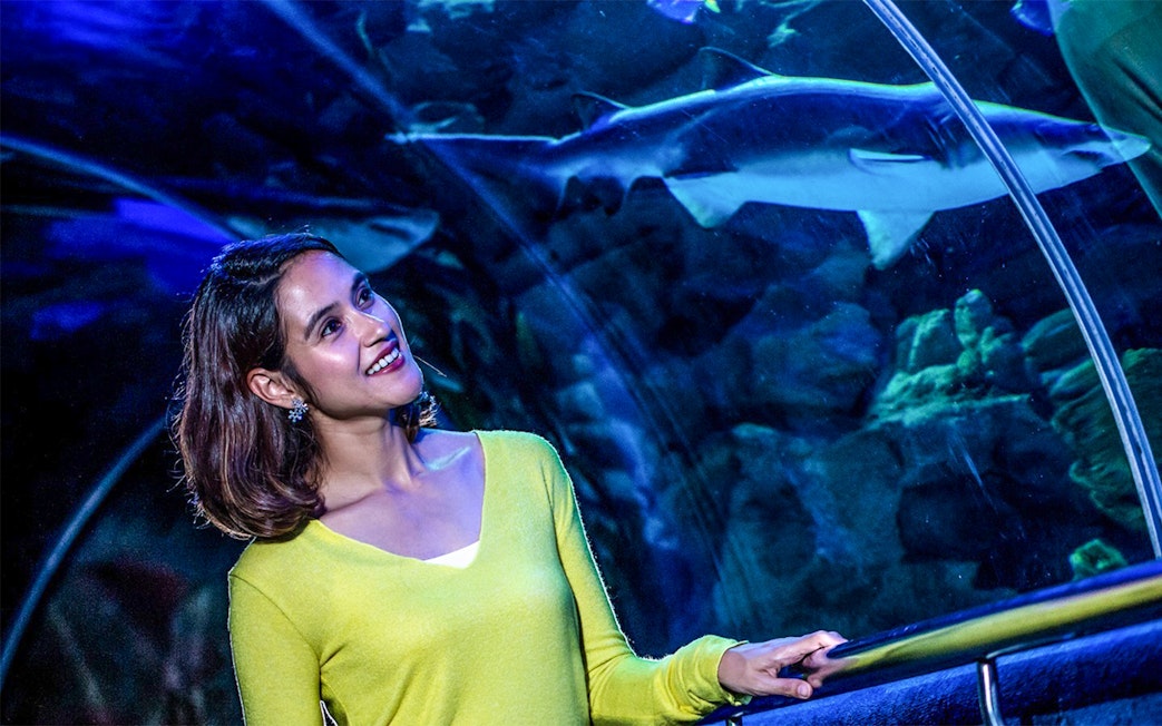 Visitor observing a shark in the tunnel at Aquaria KLCC, Kuala Lumpur.