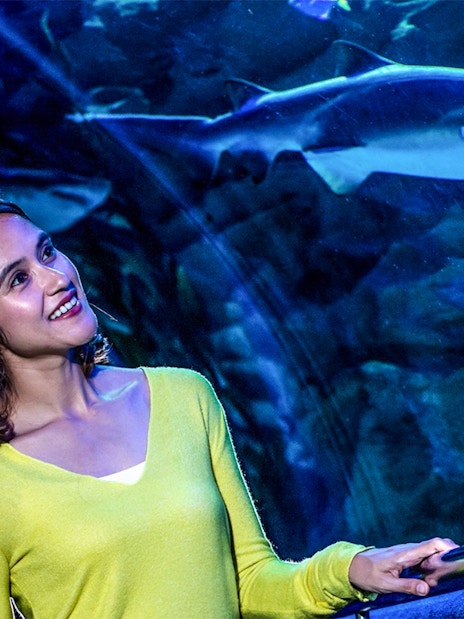 Visitor observing a shark in the tunnel at Aquaria KLCC, Kuala Lumpur.
