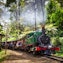 Puffing Billy Steam Train Ride