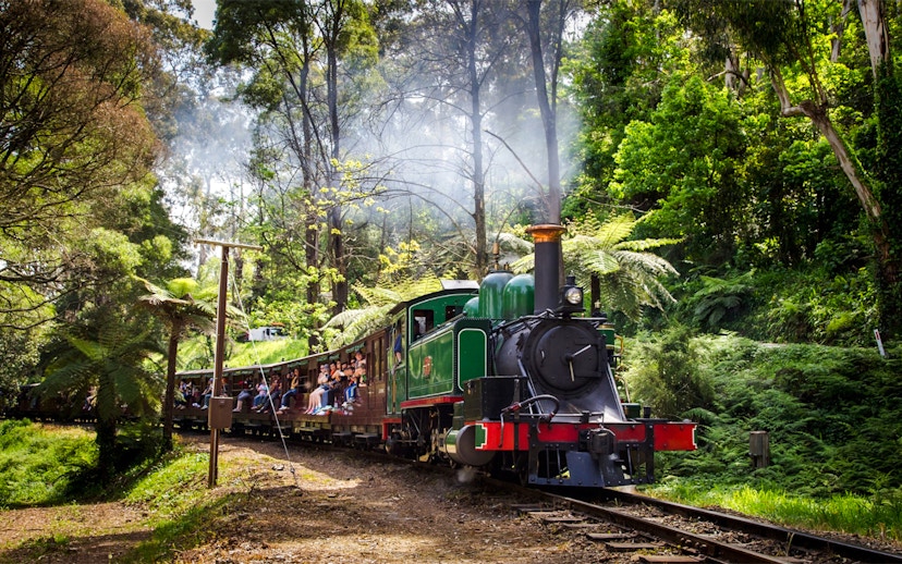 Puffing Billy steam train travels through Dandenong Ranges forest on a Melbourne tour.
