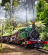 Puffing Billy Railway