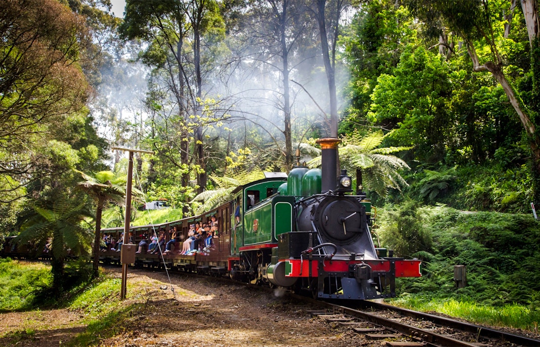 Puffing Billy steam train travels through Dandenong Ranges forest on a Melbourne tour.