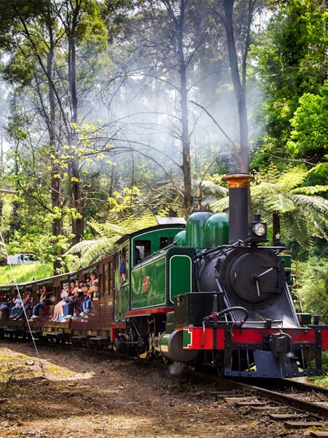 Puffing Billy steam train travels through Dandenong Ranges forest on a Melbourne tour.