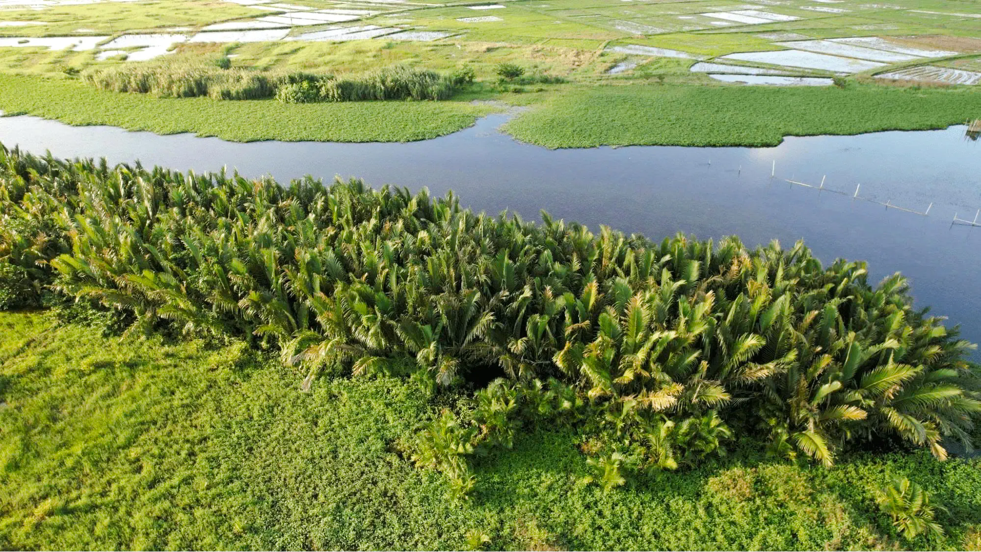 Hoi An Off-Road ATV Tour With BBQ Meal Image 3