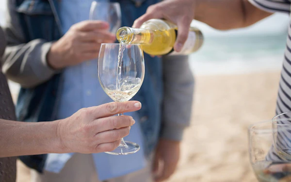 Biscay Bridge, Gaztelugatxe and Txakoli wine tasting in small group from Bilbao