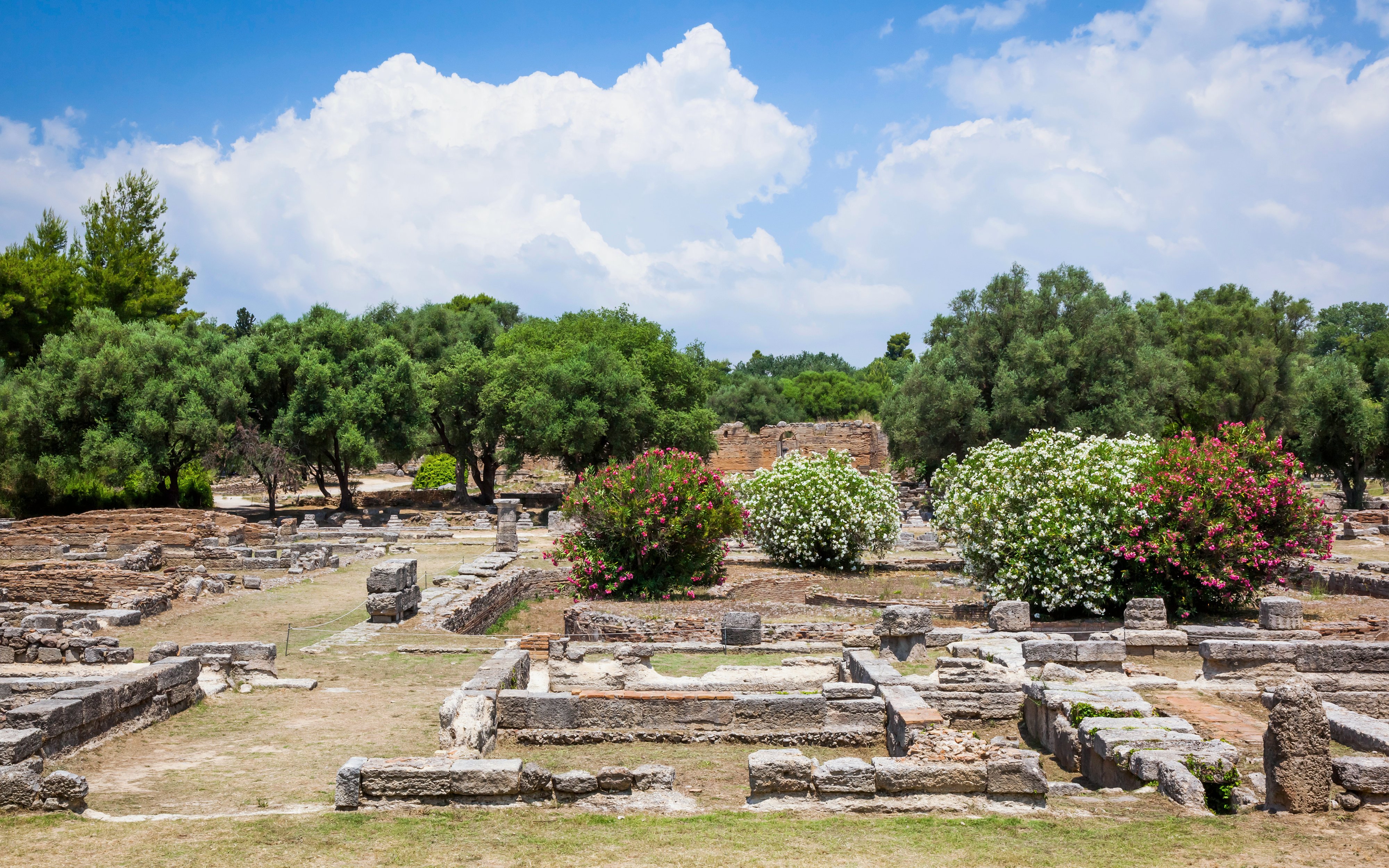 Ancient ruins surrounded by trees and flowers at the Archaeological Site of Olympia, Greece.