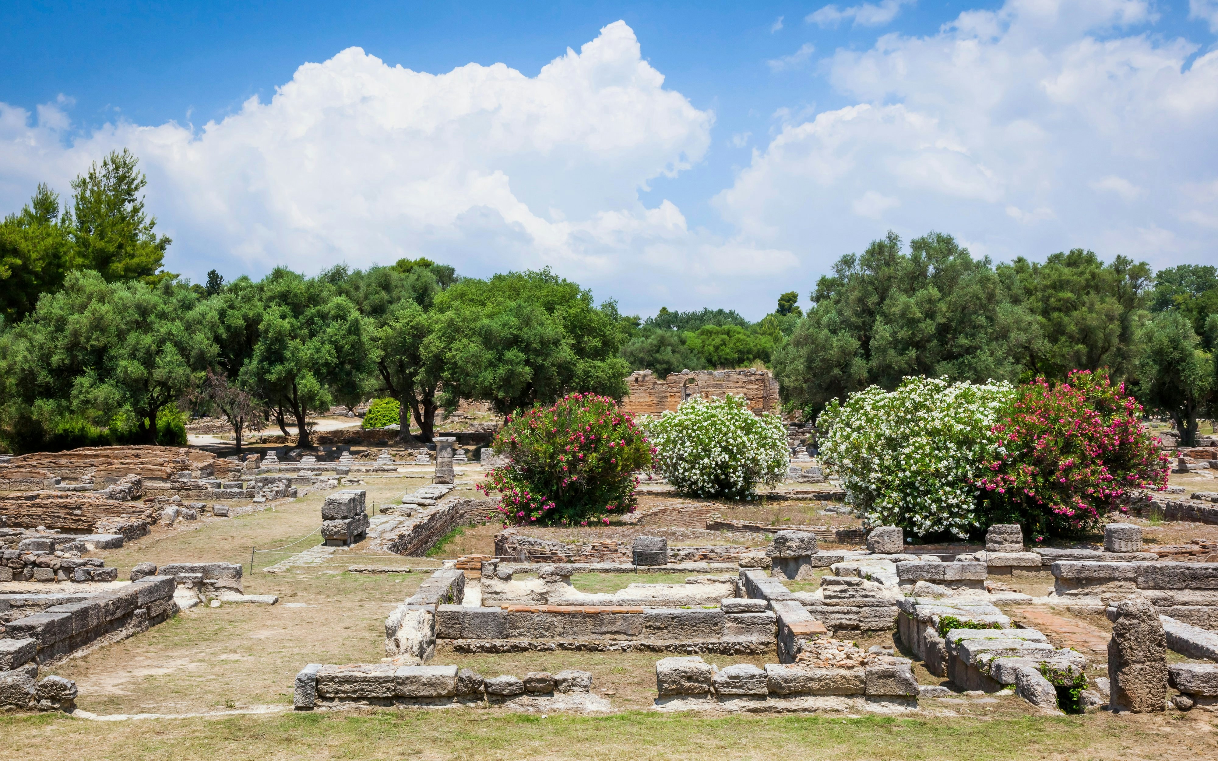 Ancient ruins surrounded by trees and flowers at the Archaeological Site of Olympia, Greece.