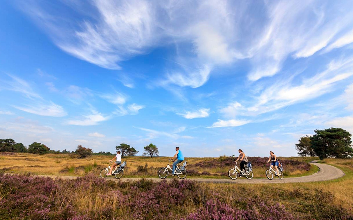 Cyclists on a path through Hoge Veluwe National Park under a blue sky.