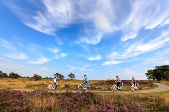 guided day tour of kröller müller museum & hoge veluwe national park from amsterdam-8