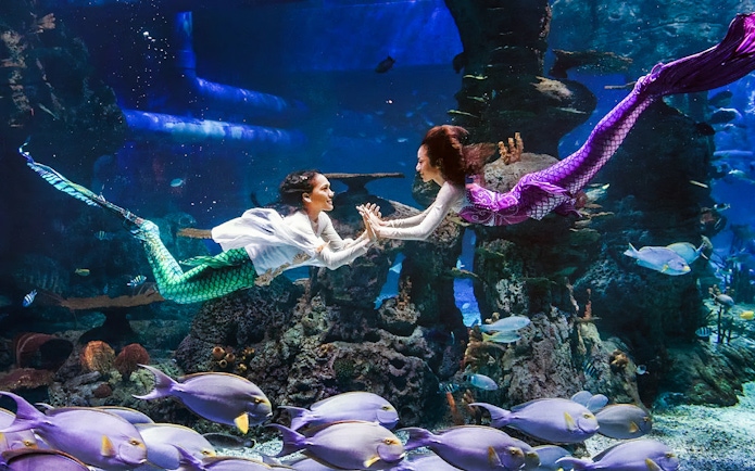 Mermaids performing underwater at Jakarta Aquarium Safari.