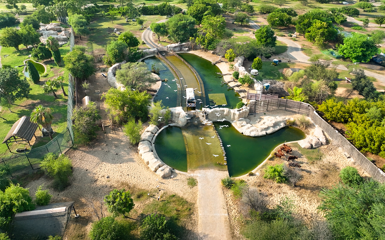 Aerial view of Dubai Safari Park with lush greenery, water features, and a safari vehicle.