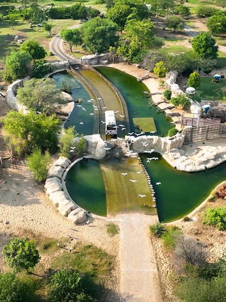Aerial view of Dubai Safari Park with lush greenery, water features, and a safari vehicle.