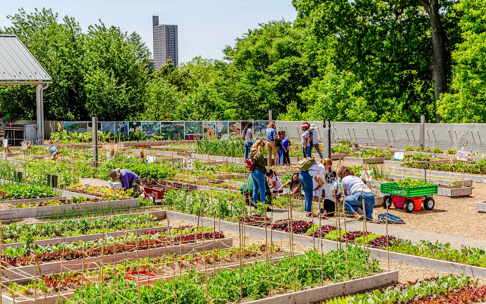 Visitors gardening at Edible Academy, New York Botanical Garden, surrounded by lush greenery.
