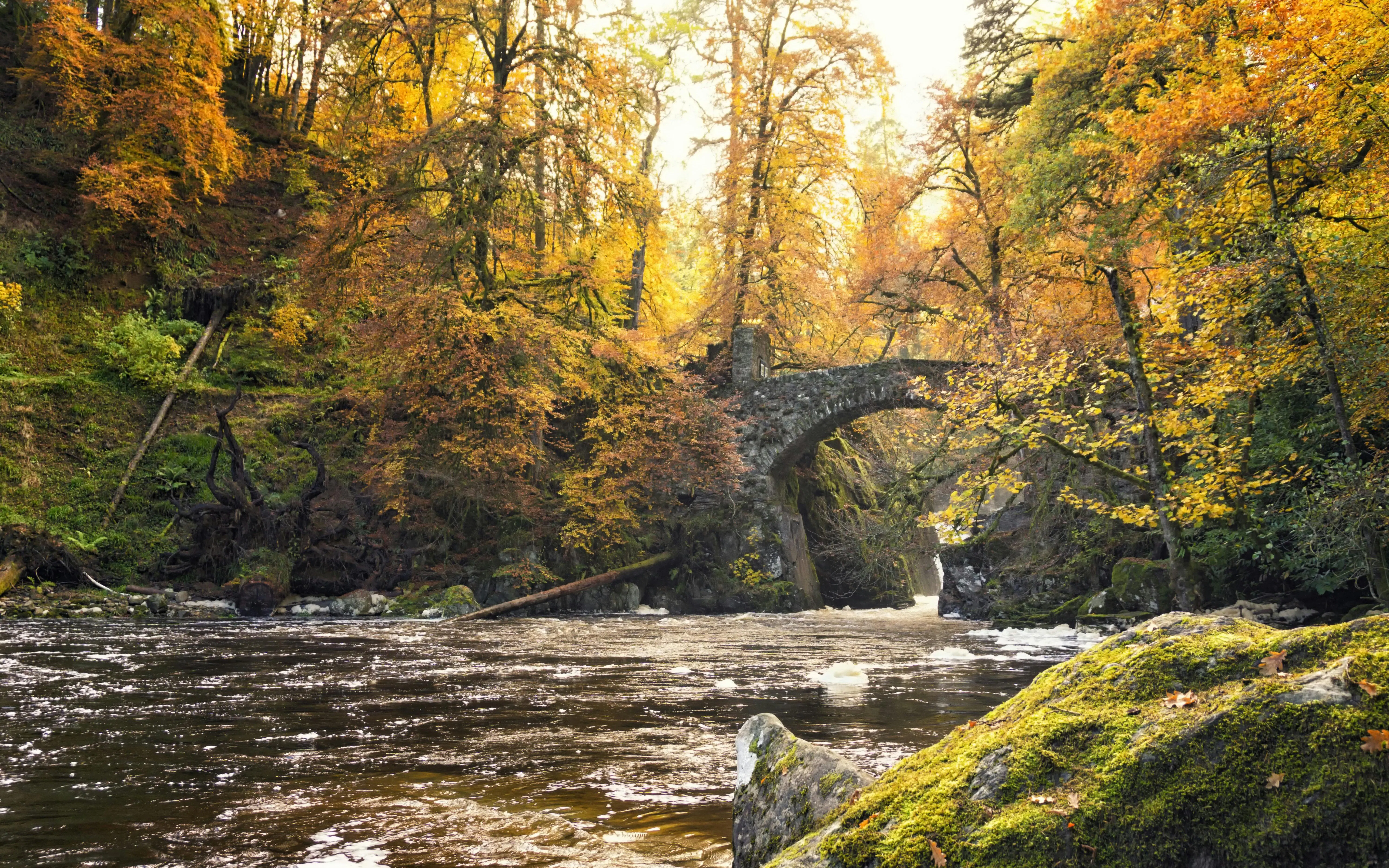 Der Hermitage-Wald