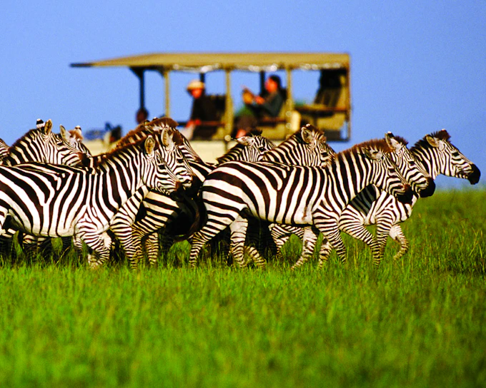 5-Day Tarangire, Serengeti & Ngorongoro Crater Safari from Arusha