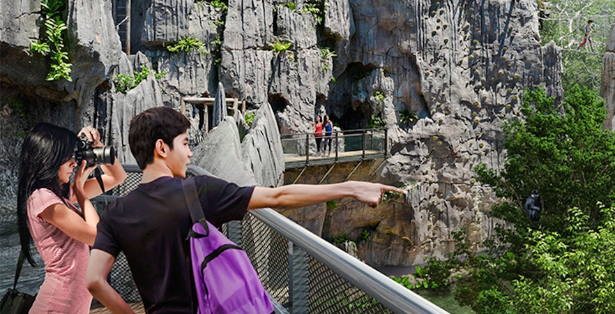 Rainforest Wild ASIA