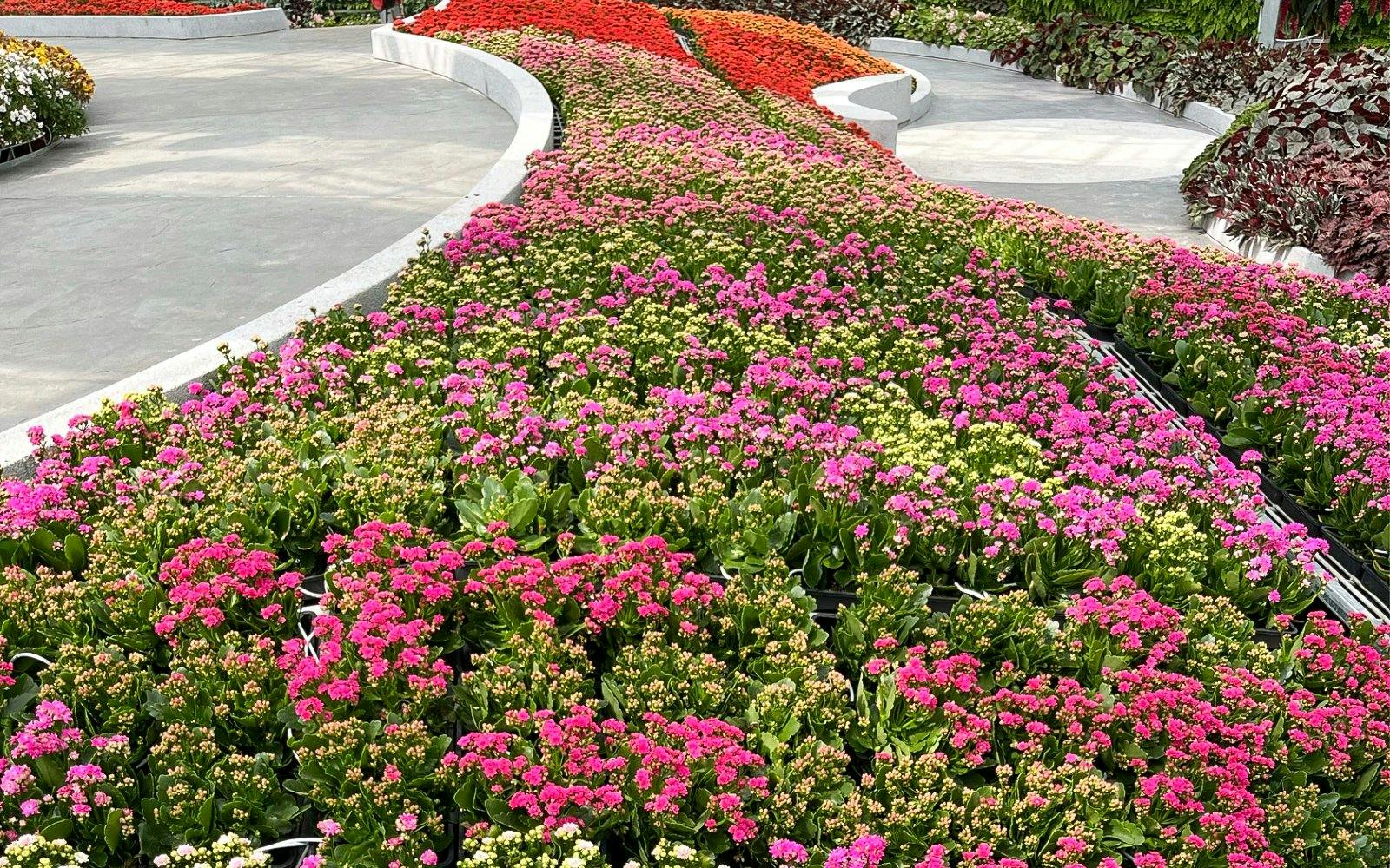 Colorful flower beds at Eufloria Gardens & Sculpture Park.