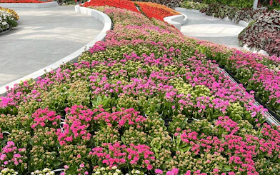 Colorful flower beds at Eufloria Gardens & Sculpture Park.