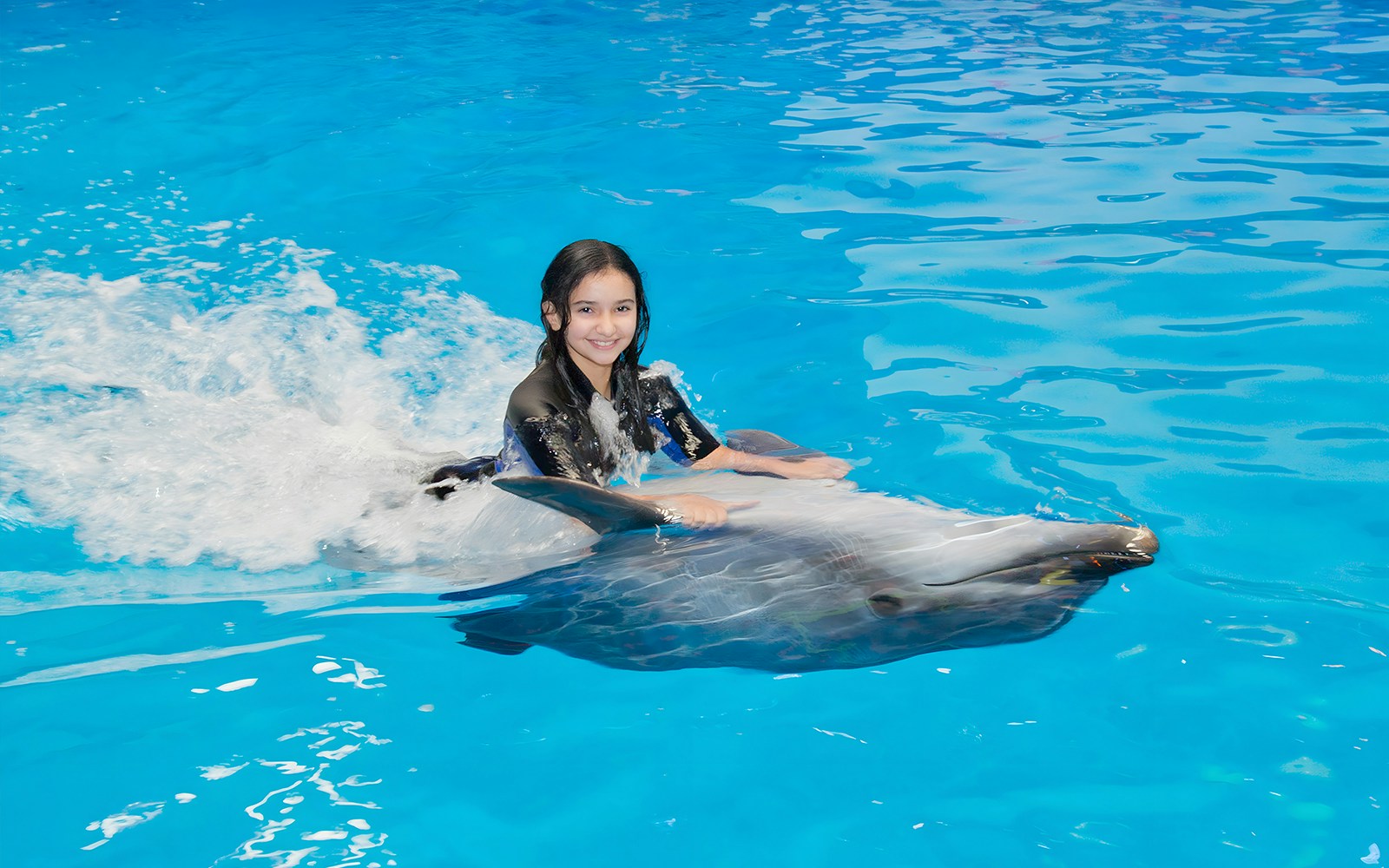 Girl riding on the back of a dolphin in the pool at Dubai Dolphinarium.