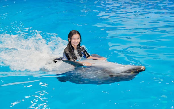 Girl swimming with a dolphin at Dubai Dolphinarium.