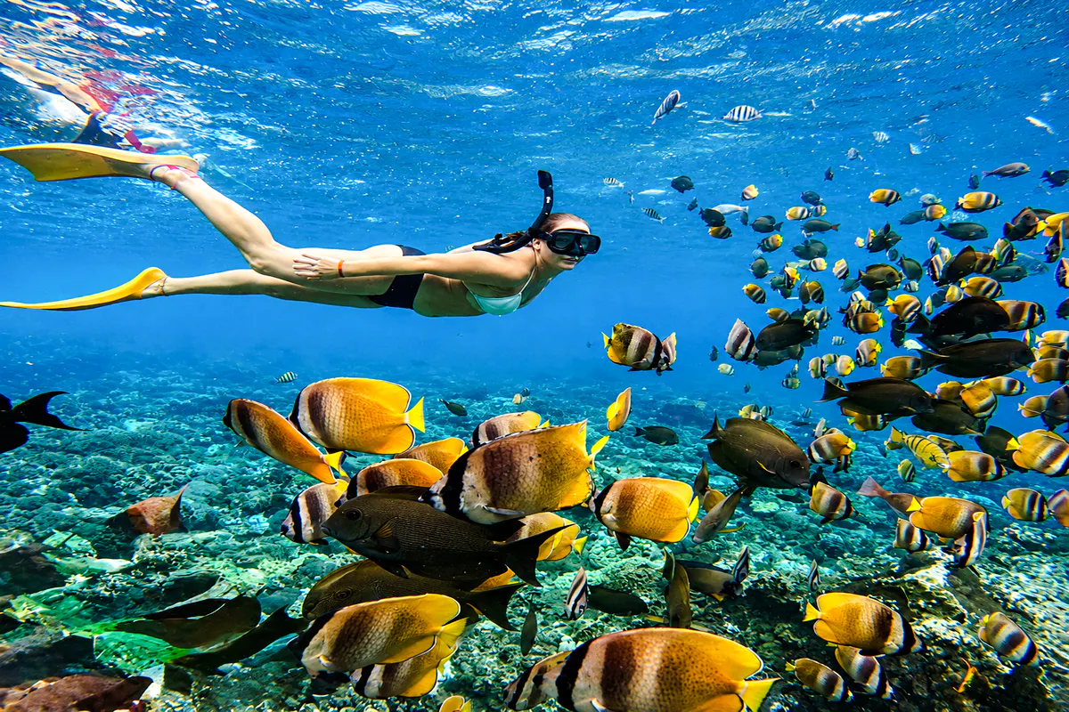 private schnorcheltour auf bali am sanur-strand-1