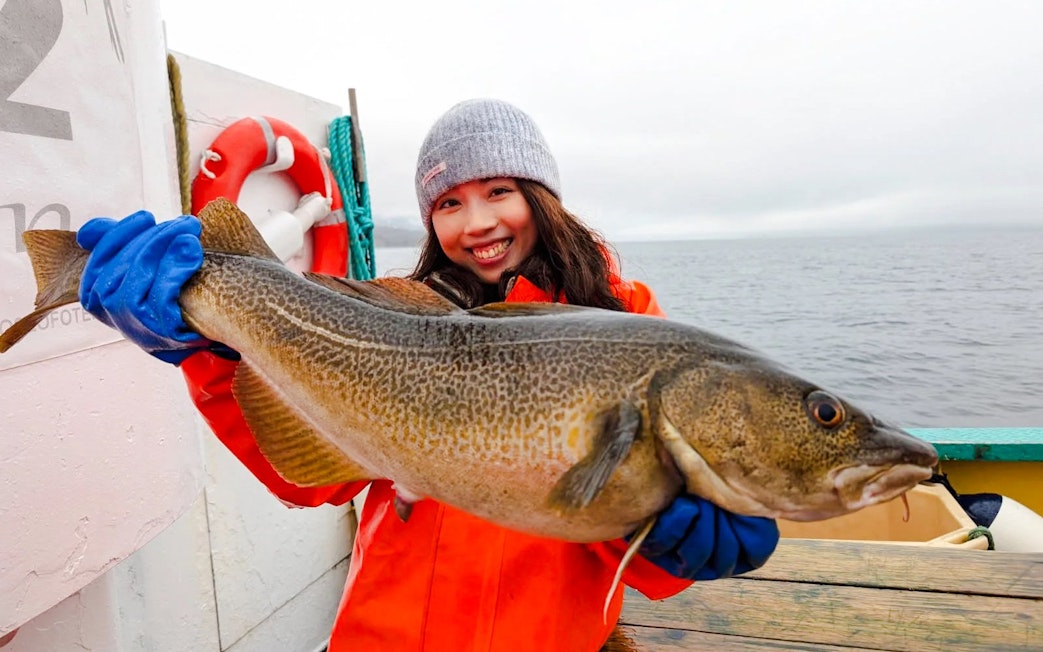 Woman holding Atlantic cod on fishing boat cruise, Lofoten.