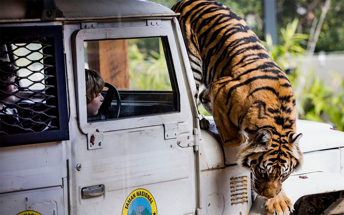 taronga zoo & whale watching cruise combo-2 taronga zoo & whale watching cruise combo-2