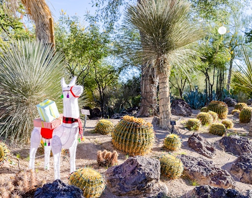 Cactus garden with Christmas decorations at Ethel M Chocolate Factory, featuring a festive llama figure.