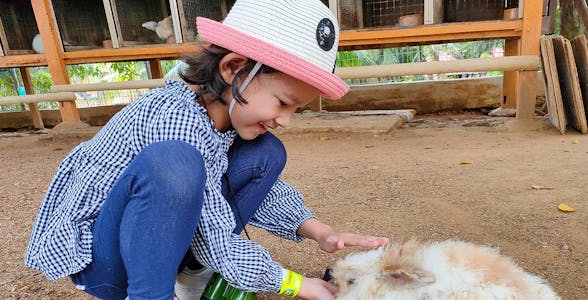 Ingressos para o Melaka Crocodile & Recreational Park