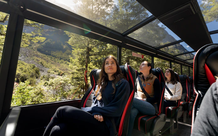 Passengers enjoying scenic views on a glass-roofed bus during Milford Sound day trip from Te Anau.