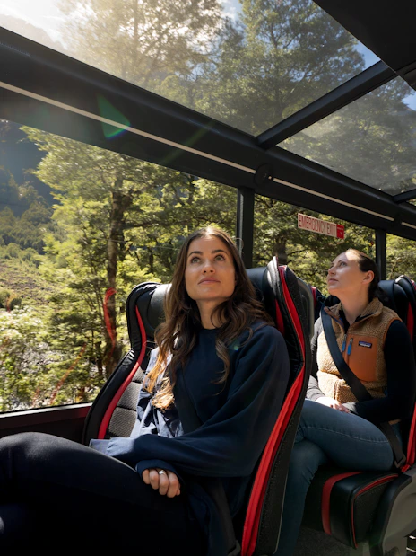 Passengers enjoying scenic views on a glass-roofed bus during Milford Sound day trip from Te Anau.