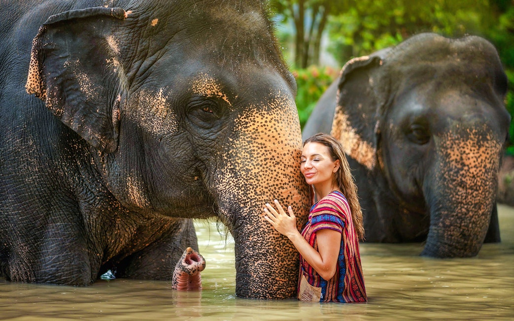 Woman embracing elephant at Elephant Jungle Sanctuary, Phuket, Thailand.