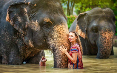 Woman embracing elephant at Elephant Jungle Sanctuary, Phuket, Thailand.
