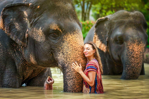 Phuket Elephant Jungle Sanctuary: Feed, Shower & Mud Spa Guided Tours with Optional Transfers