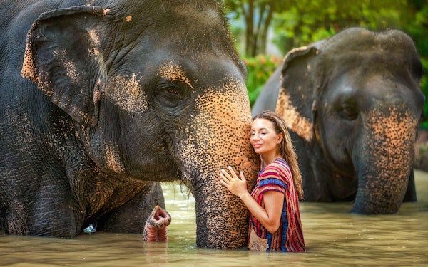 Phuket Elephant Jungle Sanctuary: Feed, Shower & Mud Spa Guided Tours with Optional Transfers