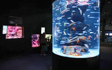 Visitors viewing marine life in a large tank at Aquarium de Paris.