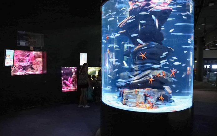 Visitors viewing marine life in a large tank at Aquarium de Paris.