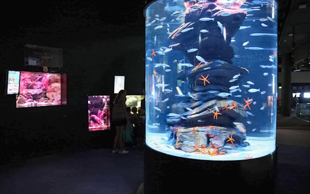 Visitors viewing marine life in a large tank at Aquarium de Paris.