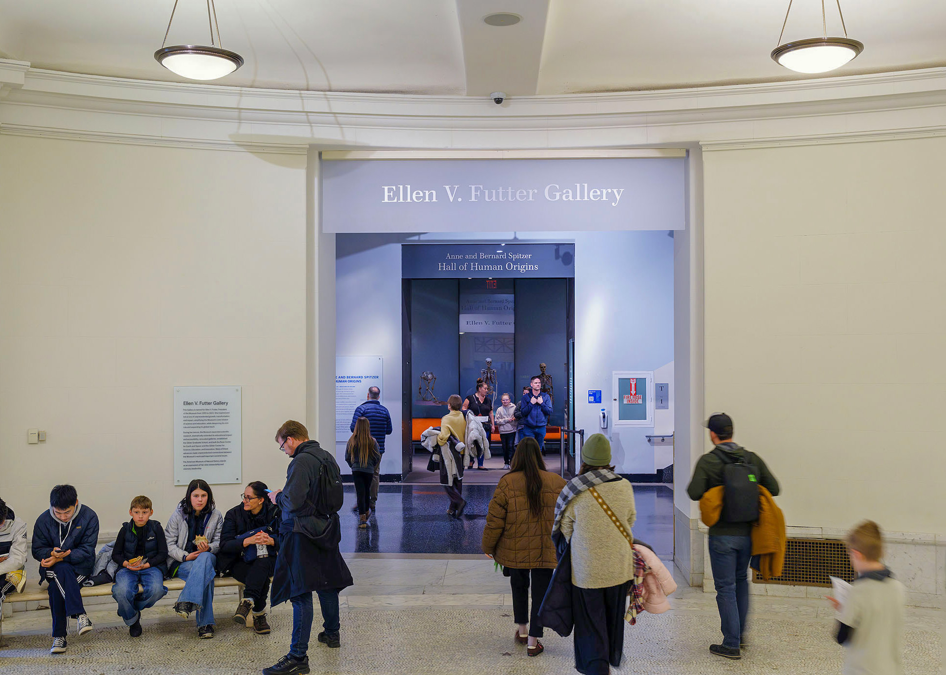 Ellen V. Futter Gallery at the American Museum of Natural History, New York City.