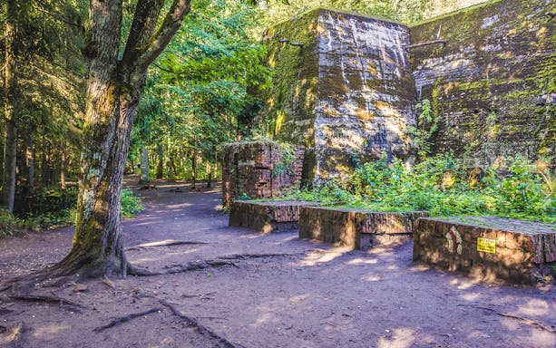 Wolf's Lair ruins and Swieta Lipka church on Warsaw small-group tour.