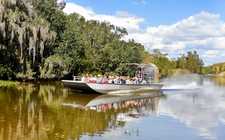 New Orleans: Small Airboat Swamp Tour