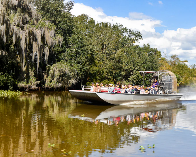 New Orleans: Small Airboat Swamp Tour