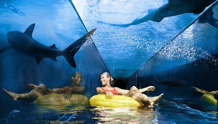 Lost Chambers Aquarium