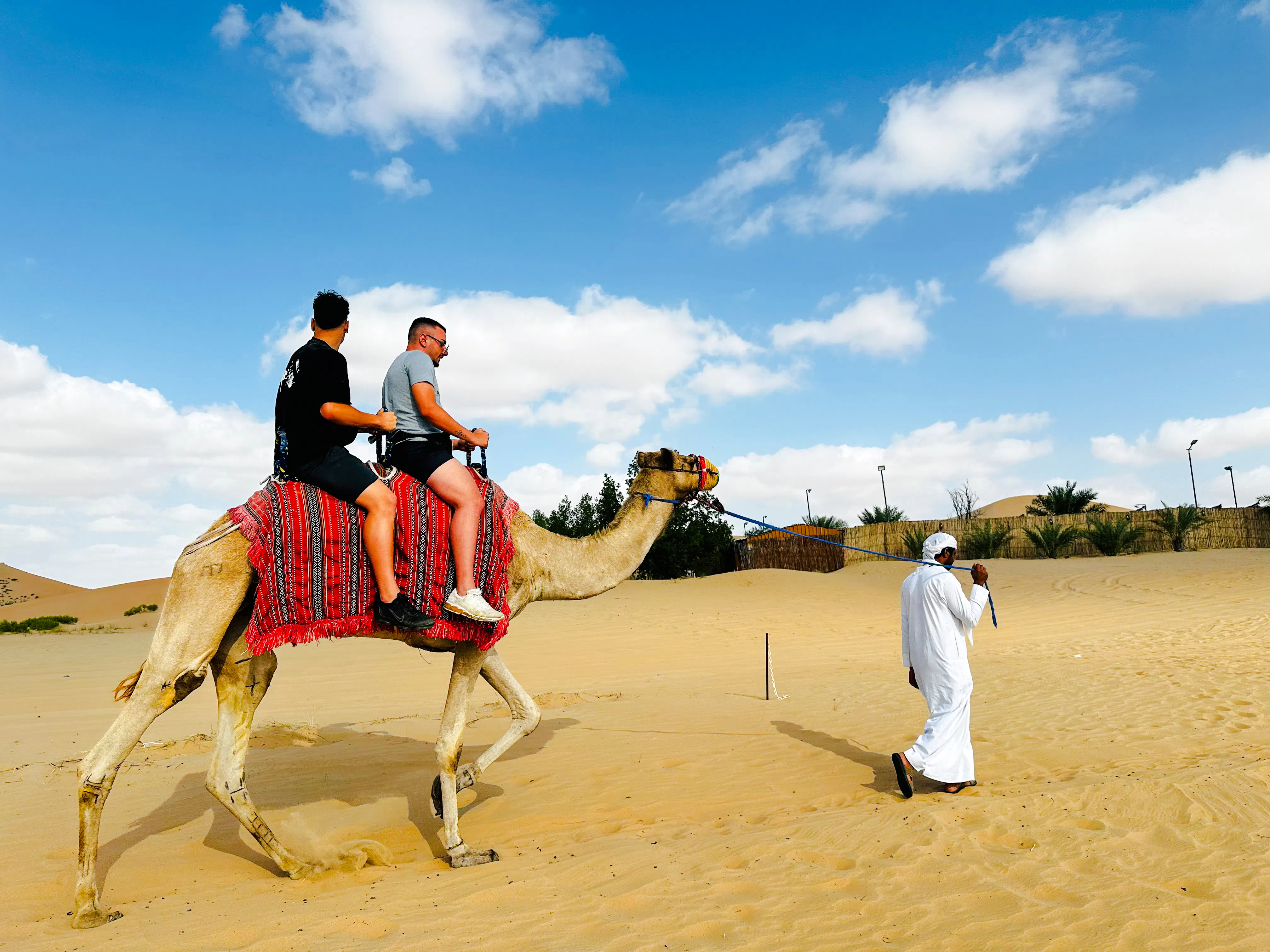 Camel ride during sunrise desert safari in Abu Dhabi with guide leading through sand dunes.