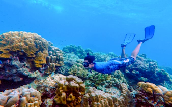 koh haa & koh rok speedboat snorkeling tour with lunch and hotel transfers-18