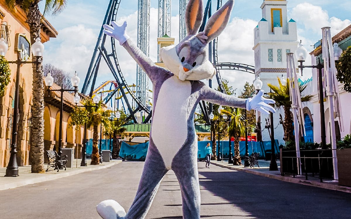 full-day trip to parque warner with round-trip transfers from madrid-4 full-day trip to parque warner with round-trip transfers from madrid-4